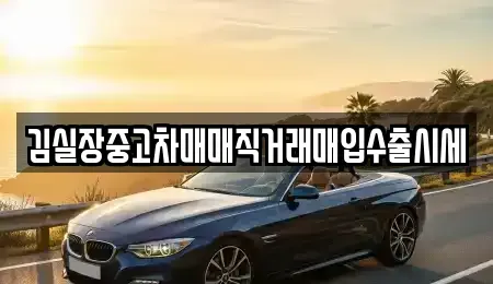 경기 파주시 진동면 중고차 전문 김실장중고차매매직거래매입수출시세