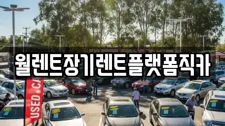 경기 포천시 화현면 렌트카 전문 월렌트장기렌트플랫폼직카