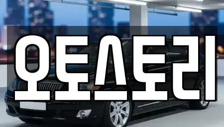 경기 포천시 화현면 중고차매매 전문 오토스토리