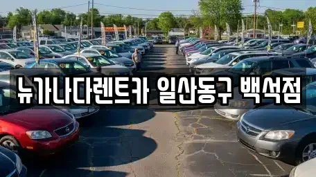 경기도 고양시 단기렌트카 전문 뉴가나다렌트카 일산동구 백석점