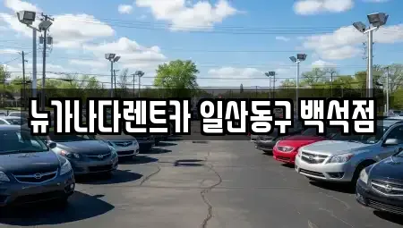 경기도 고양시 덕양구 신평동 렌트카 전문 뉴가나다렌트카 일산동구 백석점