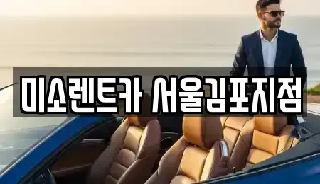 경기도 고양시 덕양구 신평동 렌트카 전문 미소렌트카 서울김포지점