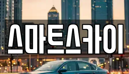 경기도 고양시 덕양구 신평동 렌트카 전문 스마트스카이