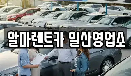 경기도 고양시 덕양구 신평동 렌트카,단기렌트카,장기렌트카,중고차,중고차매매,중고차매입