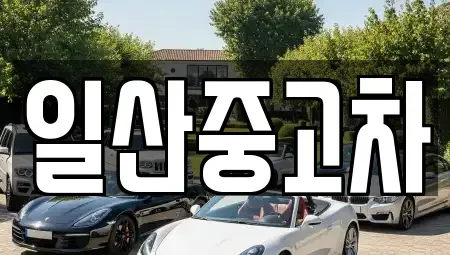 경기도 고양시 덕양구 신평동 중고차 전문 일산중고차