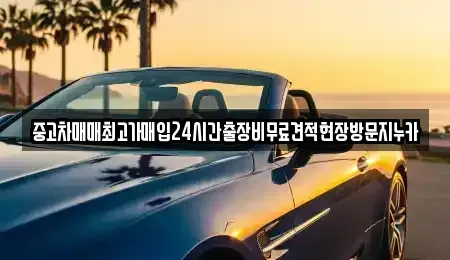 경기도 고양시 덕양구 신평동 중고차 전문 중고차매매최고가매입24시간출장비무료견적현장방문지누카