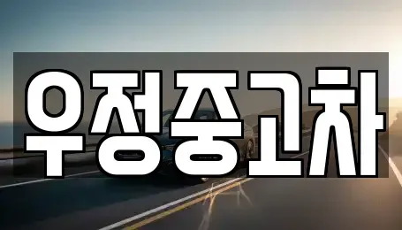 경기도 고양시 덕양구 신평동 중고차매매 전문 우정중고차