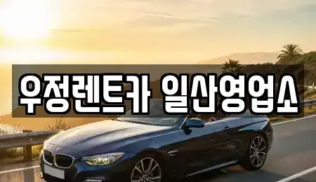 경기도 고양시 렌트카 전문 우정렌트카 일산영업소