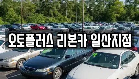 경기도 고양시 중고차 전문 오토플러스 리본카 일산지점