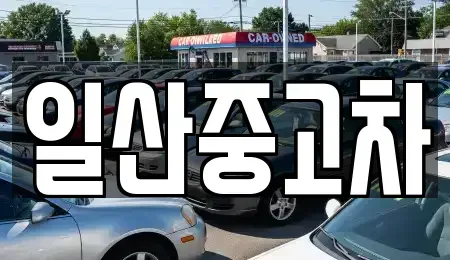 경기도 고양시 중고차 전문 일산중고차