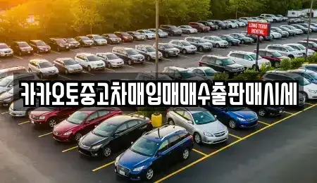 경기도 고양시 중고차매입 전문 카카오토중고차매입매매수출판매시세