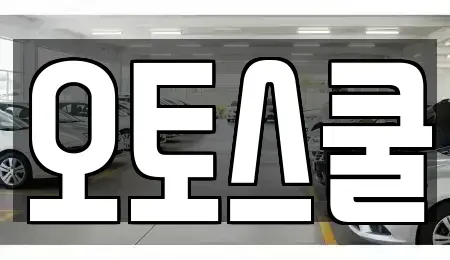 경기도 남양주시 이패동 장기렌트카 전문 오토스쿨