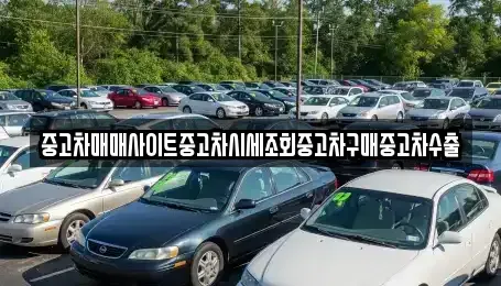 경기도 남양주시 이패동 중고차매매,단기렌트카,중고차매입,장기렌트카,중고차,렌트카