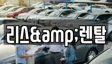 경기도 수원시 영통구 장기렌트카 전문 리스&렌탈