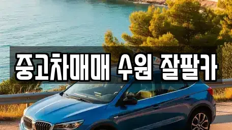 경기도 수원시 영통구 중고차 전문 중고차매매 수원 잘팔카