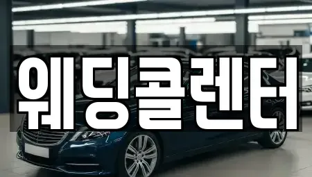 경기도 수원시 장안구 정자동 단기렌트카 전문 웨딩콜렌터