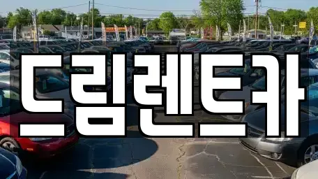 경기도 수원시 장안구 정자동 렌트카 전문 드림렌트카