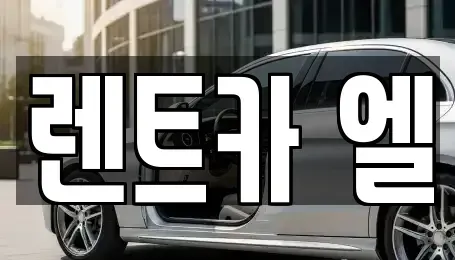 경기도 수원시 장안구 정자동 렌트카 전문 렌트카 엘