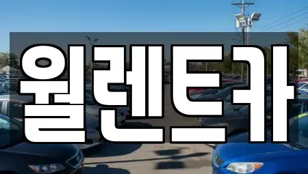 경기도 수원시 장안구 정자동 렌트카 전문 월렌트카