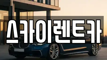 경기도 수원시 장안구 정자동 장기렌트카 전문 스카이렌트카