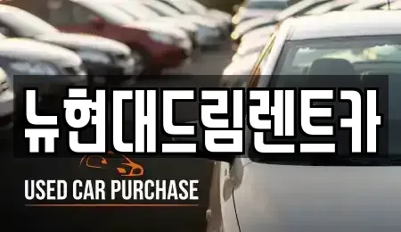 경기도 시흥시 포동 렌트카 전문 뉴현대드림렌트카