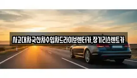 경기도 시흥시 포동 렌트카 전문 사고대차국산차수입차드라이브렌터카,장기리스렌트카