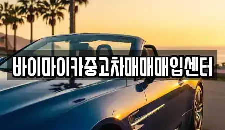 경기도 시흥시 포동 중고차 전문 바이마이카중고차매매매입센터