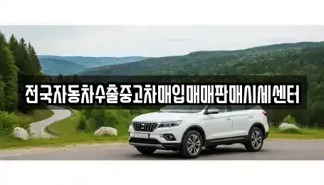 경기도 시흥시 포동 중고차 전문 전국자동차수출중고차매입매매판매시세센터