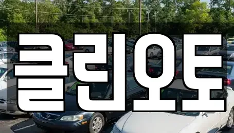 경기도 용인시 기흥구 마북동 중고차 전문 클린오토