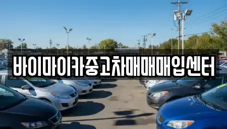 경기도 용인시 기흥구 마북동 중고차매입 전문 바이마이카중고차매매매입센터