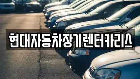 경기도 의왕시 오전동 장기렌트카 전문 현대자동차장기렌터카리스