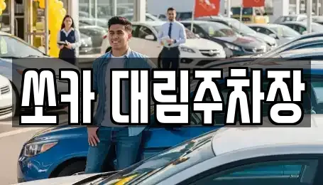 경기도 포천시 신읍동 렌트카 전문 쏘카 대림주차장