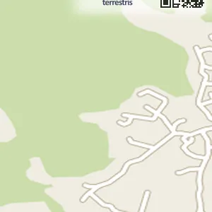 경기도 포천시 신읍동 렌트카 허니문렌트카 위치