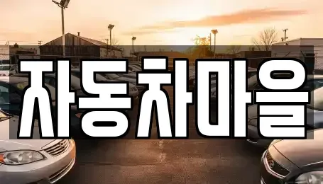 경기도 포천시 신읍동 중고차 전문 자동차마을