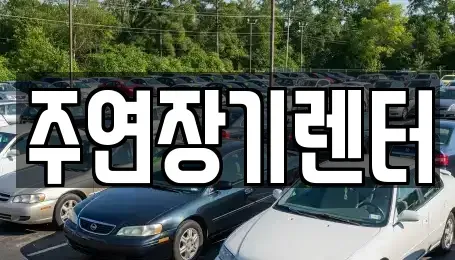경기도 하남시 학암동 단기렌트카 전문 주연장기렌터