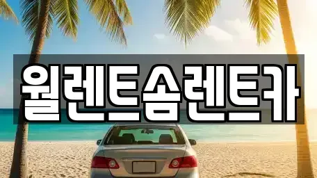 경기도 하남시 학암동 렌트카 전문 월렌트솜렌트카