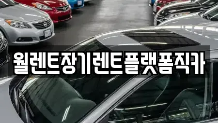 경기도 하남시 학암동 장기렌트카 전문 월렌트장기렌트플랫폼직카