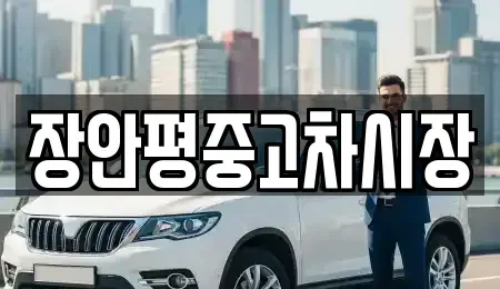 경기도 하남시 학암동 중고차매매 전문 장안평중고차시장