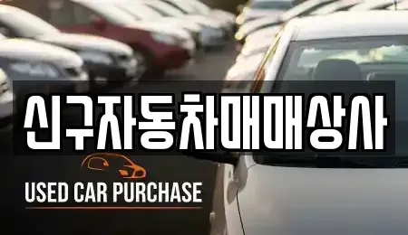 경남 창원시 성산구 중앙동 중고차 전문 신구자동차매매상사