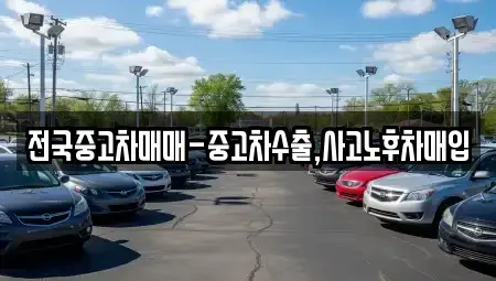 경남 창원시 성산구 중앙동 중고차매입 전문 전국중고차매매-중고차수출,사고노후차매입