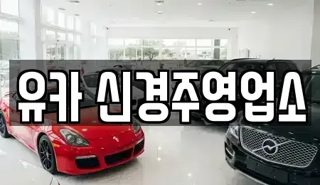 경북 경주시 렌트카 전문 유카 신경주영업소