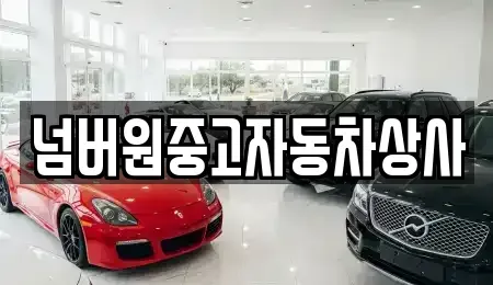 경북 경주시 중고차 전문 넘버원중고자동차상사