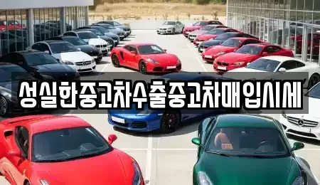 경북 경주시 중고차매입 전문 성실한중고차수출중고차매입시세