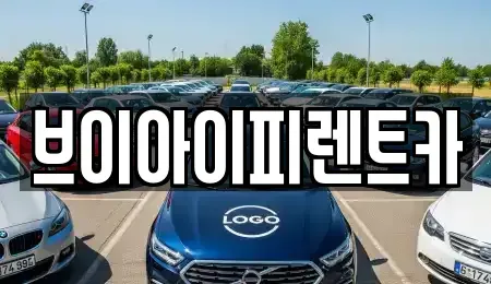 경북 구미시 신평동 렌트카 전문 브이아이피렌트카