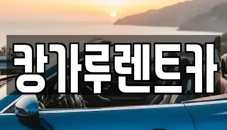 경북 구미시 신평동 렌트카 전문 캉가루렌트카