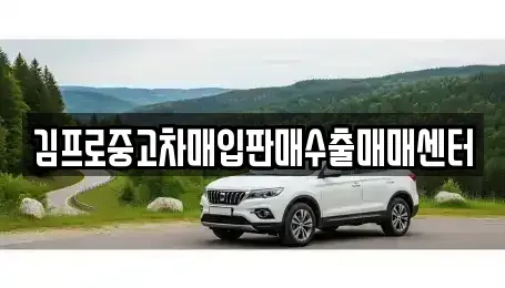 경북 구미시 신평동 중고차 전문 김프로중고차매입판매수출매매센터