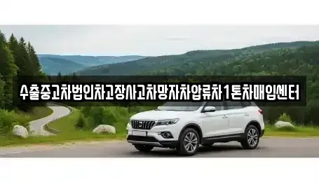 경북 구미시 신평동 중고차매매 전문 수출중고차법인차고장사고차망자차압류차1톤차매입센터