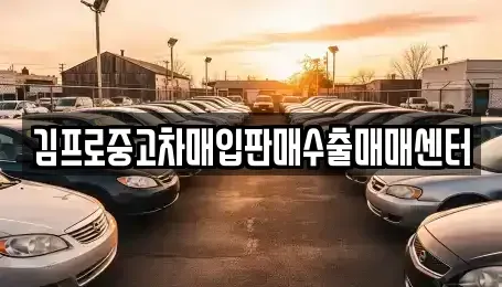 경북 김천시 성내동 중고차매매 전문 김프로중고차매입판매수출매매센터