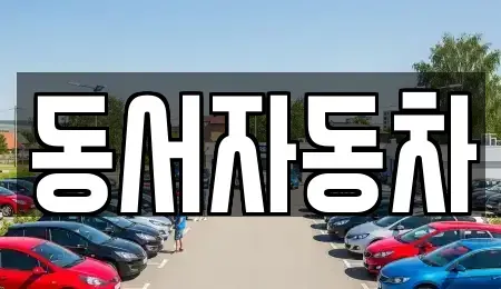 경북 김천시 성내동 중고차매매 전문 동서자동차