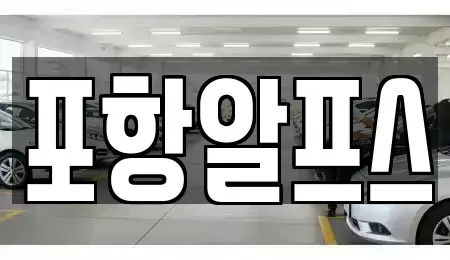 경북 상주시 초산동 렌트카 전문 포항알프스